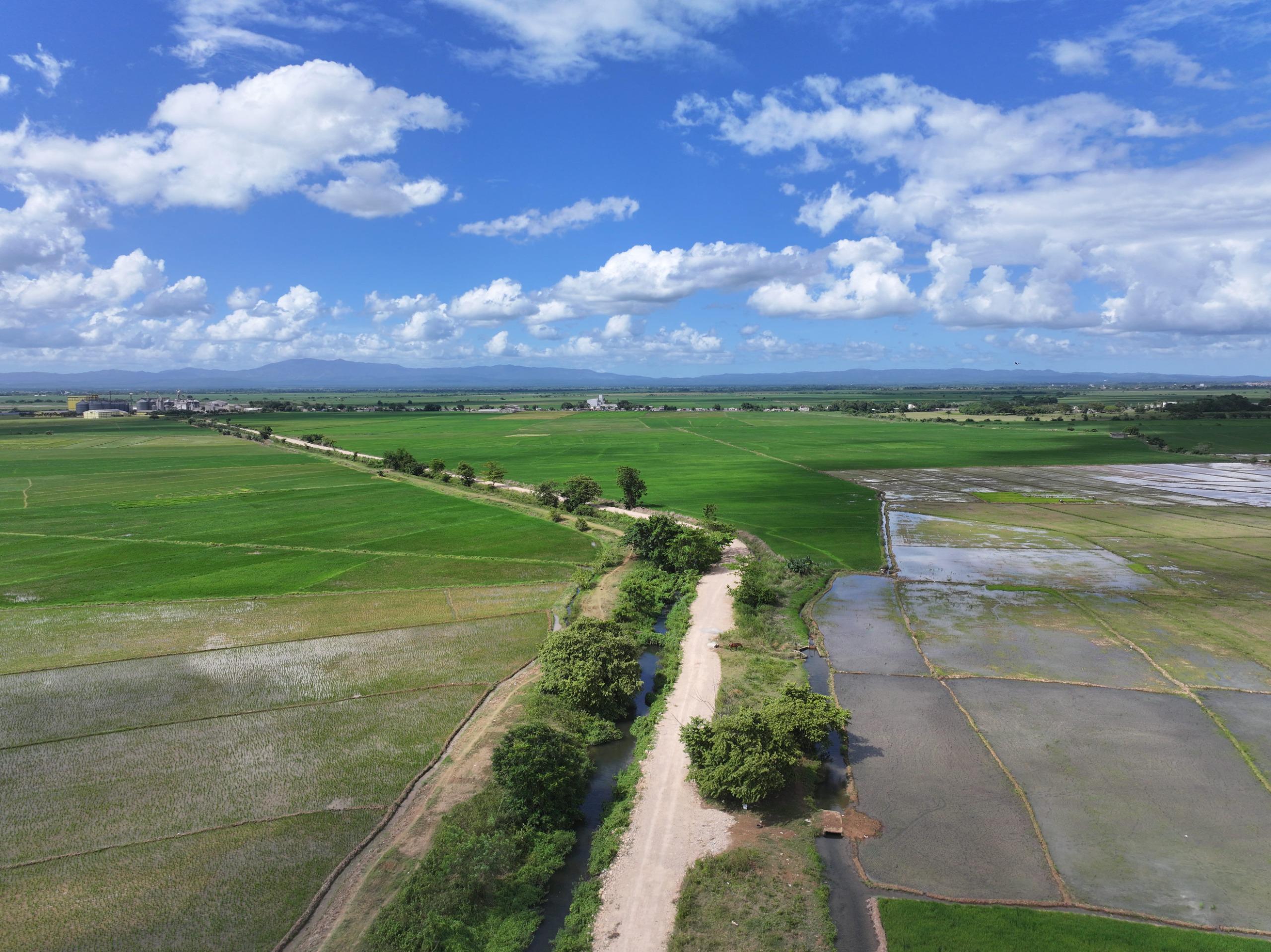 12 kilómetros de caminos parcelarios beneficiando los regantes del canal La Paloma.