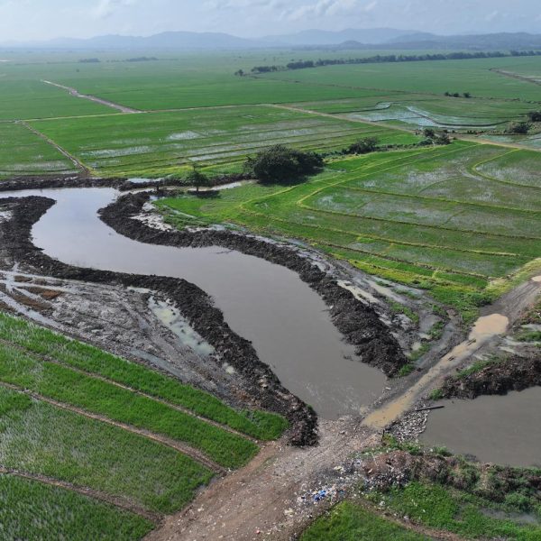 INDRHI avanza dragado del drenaje Pontón en Cotuí; beneficia 36,000 tareas arroceras