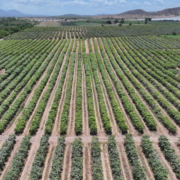 Gobierno da continuidad al proyecto Azua II – Pueblo Viejo, fortaleciendo el desarrollo agrícola de la provincia