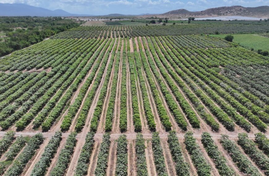 Gobierno da continuidad al proyecto Azua II – Pueblo Viejo, fortaleciendo el desarrollo agrícola de la provincia